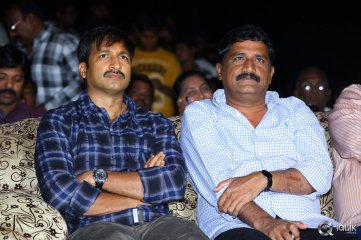 Loukyam Movie Audio Success Function